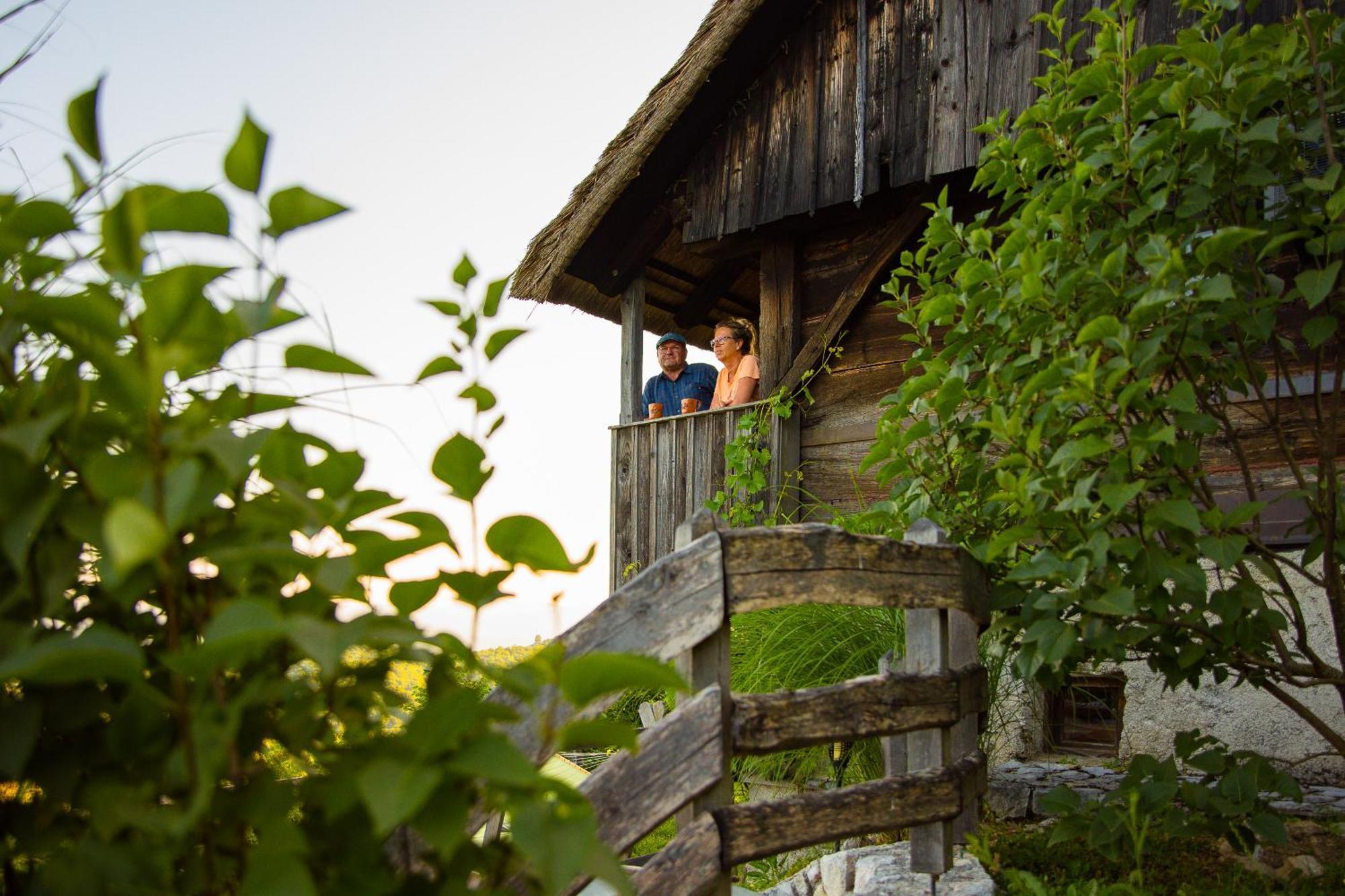 Vineyard Cottage Skatlar Otocec Exterior photo